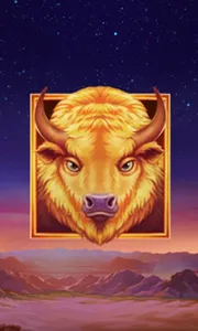Buffalo's Sun 2